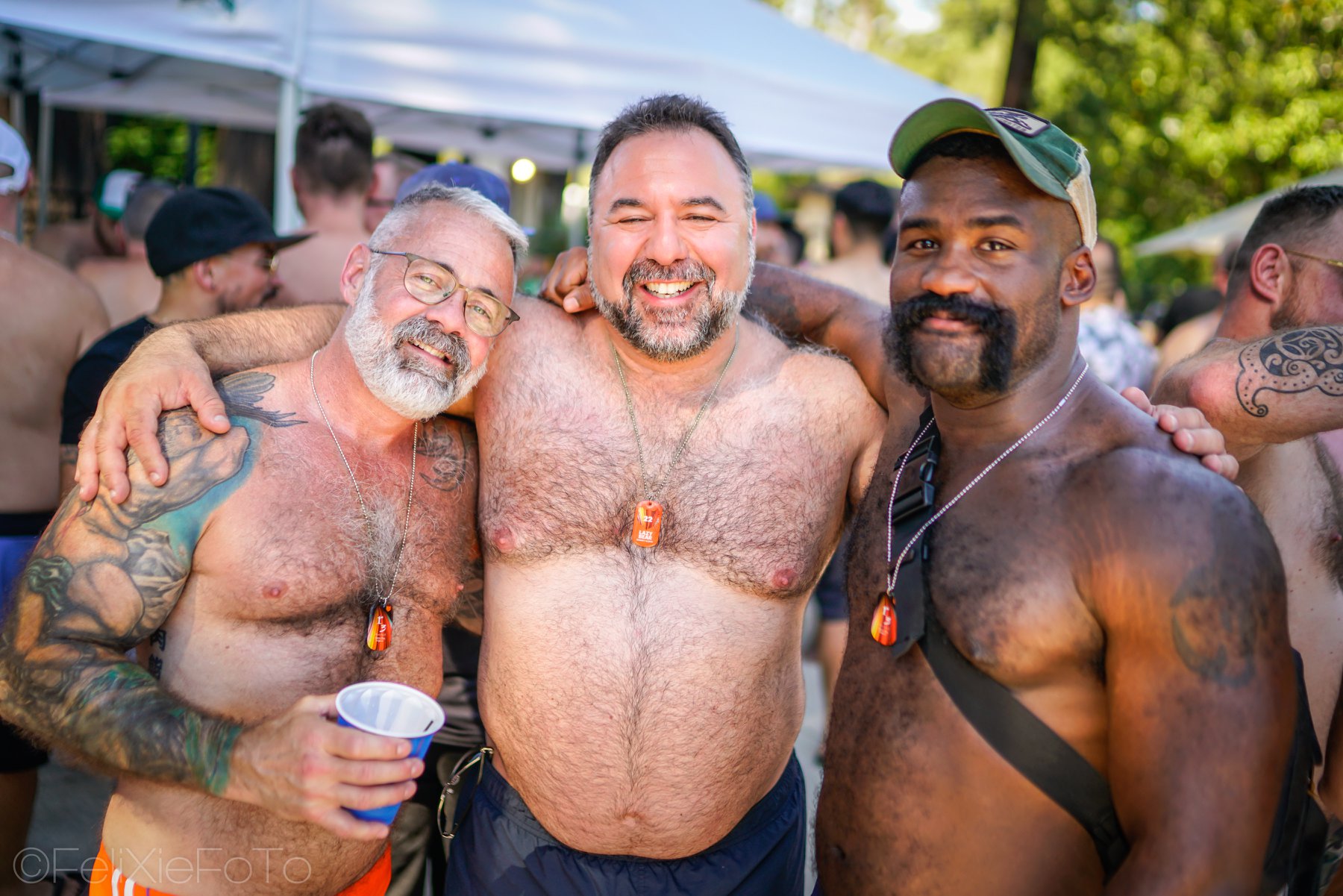 Sexy Hairy Bears