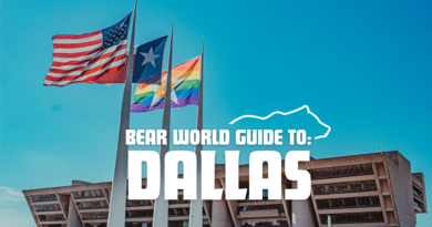 Bear World Guide to: Dallas