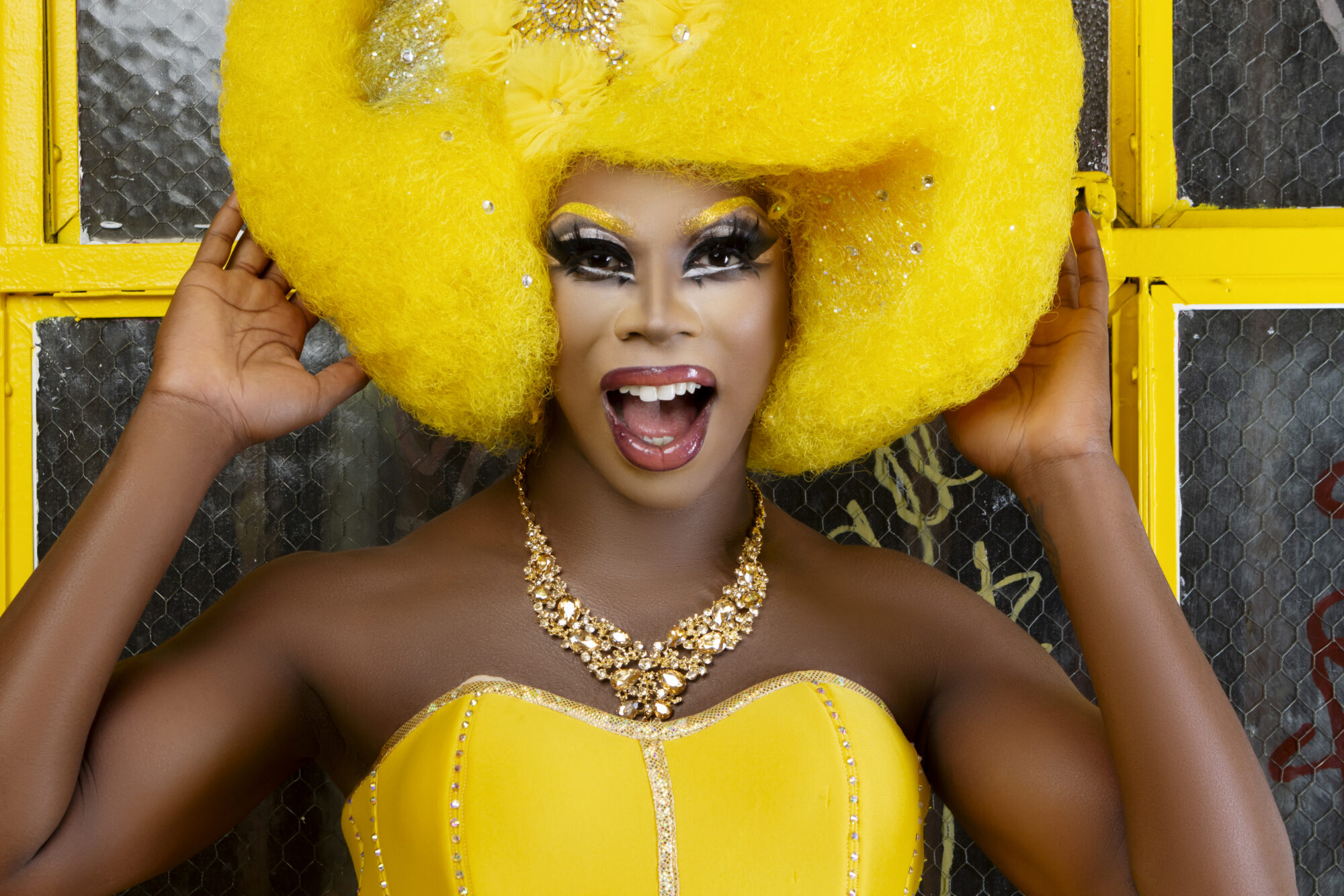 'Drag Race' alum Honey Davenport releases new music video Bear World