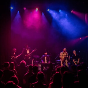 Bear World Playlist Featured Artist: Mike Maimone - Bear World Magazine