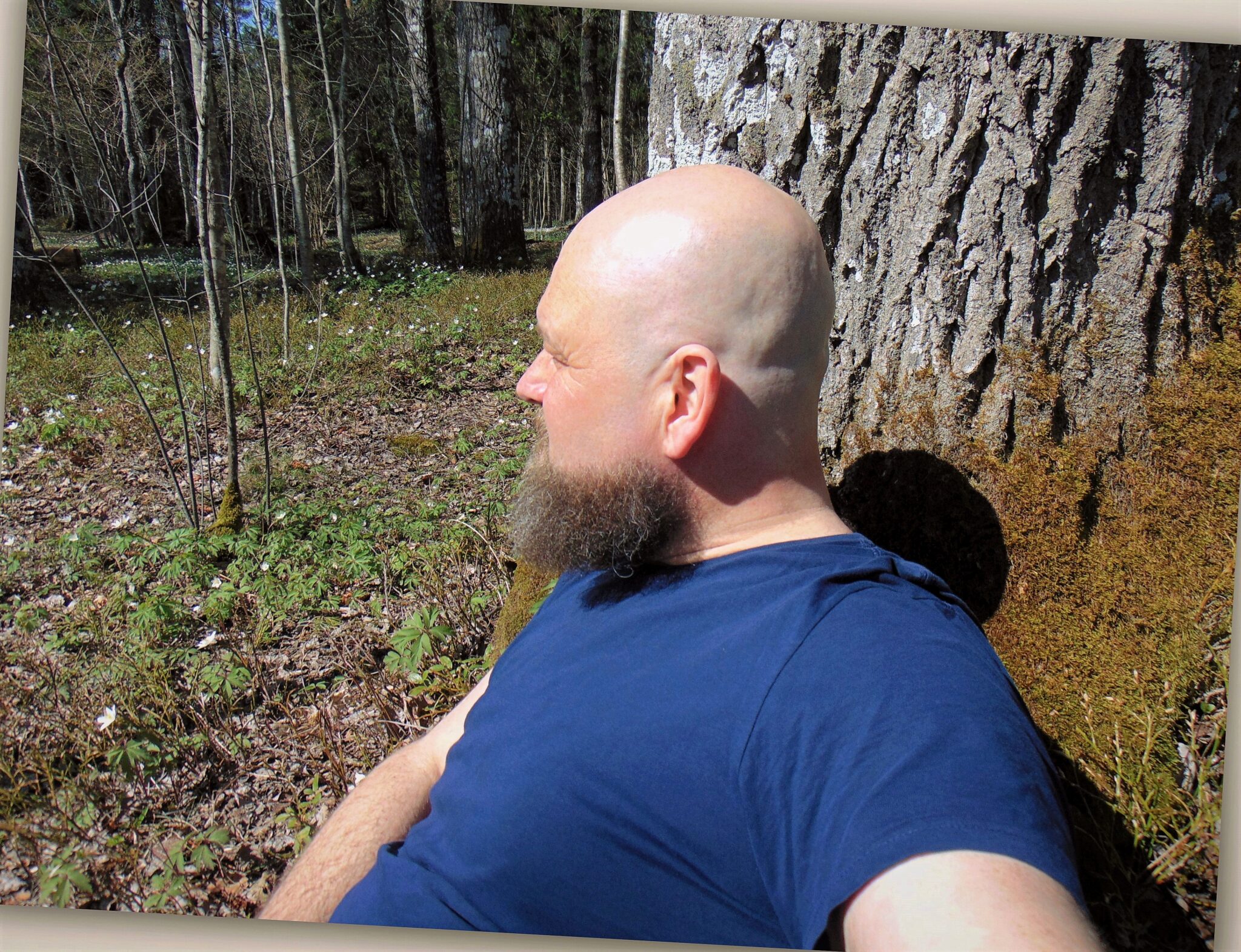 instabear-of-the-week-tapio-vares-bear-world-magazine