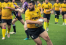 Bears, Rugby & Inclusion: Recapping the 2024 Bingham Cup