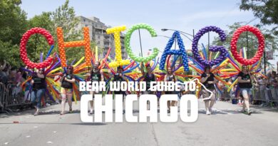 Bear World Guide to: Chicago