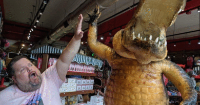 Hand Grenades, Fire Plugs, and the Real Meaning of “Oz”