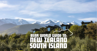 Bear Guide to South Island, New Zealand