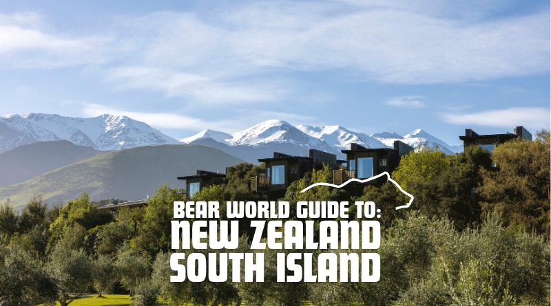 Bear Guide to South Island, New Zealand