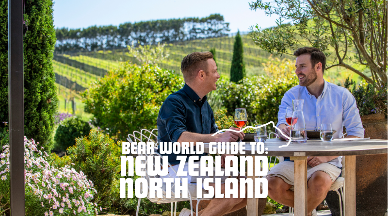 Bear Guide to North Island, New Zealand